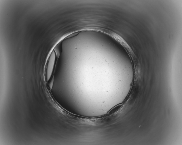 X0000086280908200704122045