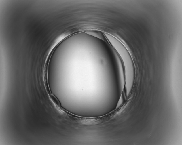 X0000086280909200704122045