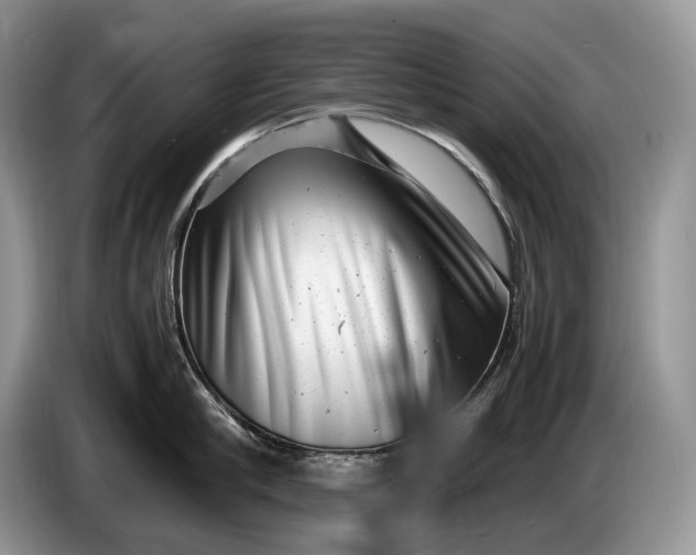 X0000086280910200704122045