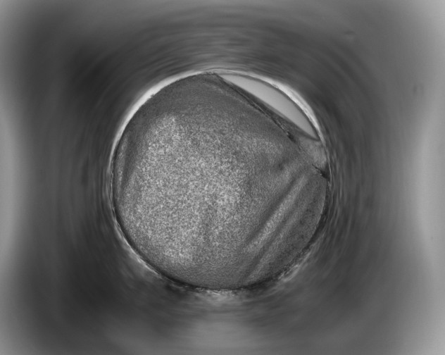 X0000086280911200704122045