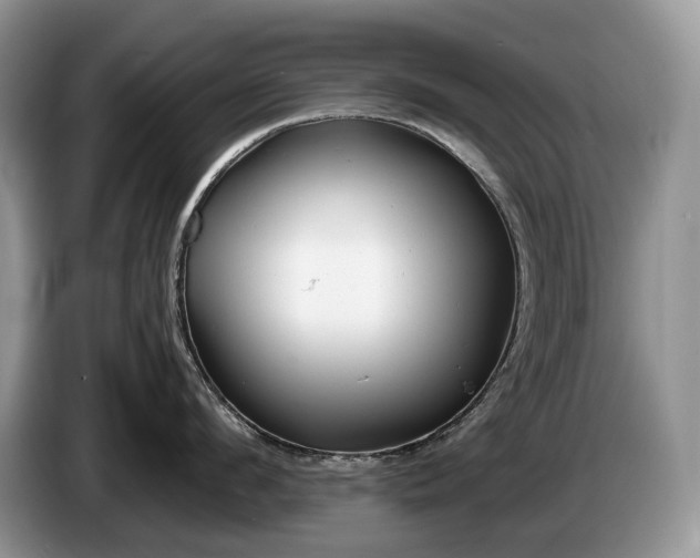 X0000086280912200704122045