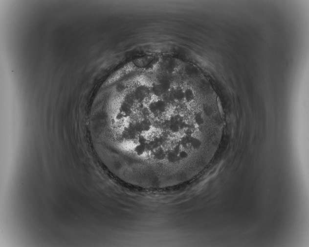 X0000086280913200704122044