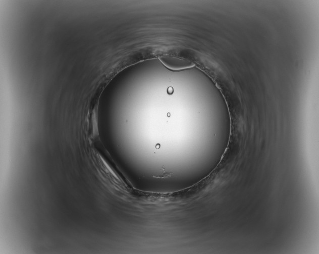 X0000086280914200704122044