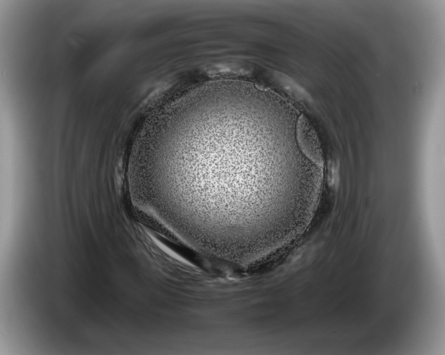 X0000086280915200704122044