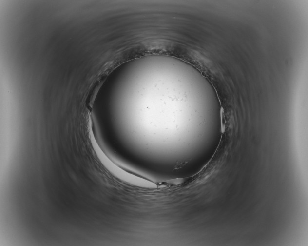 X0000086280916200704122044