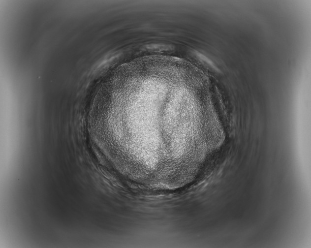 X0000086280917200704122044