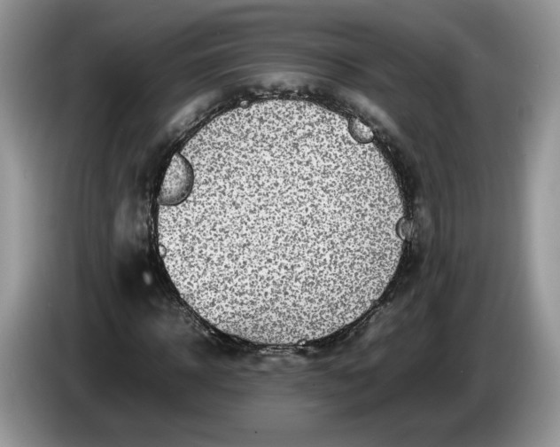 X0000086280918200704122044