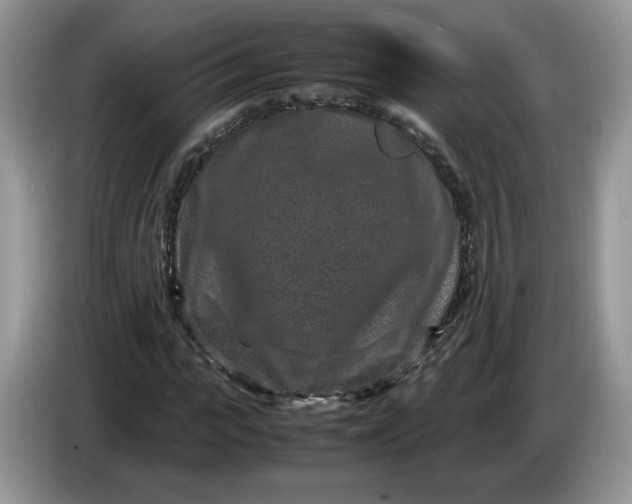 X0000086280919200704122044