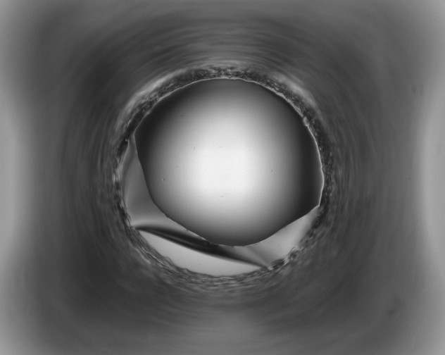 X0000086280920200704122044