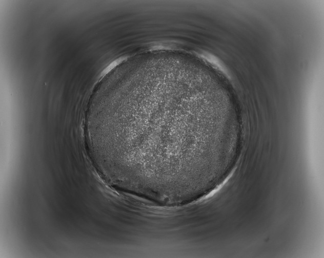 X0000086280921200704122044