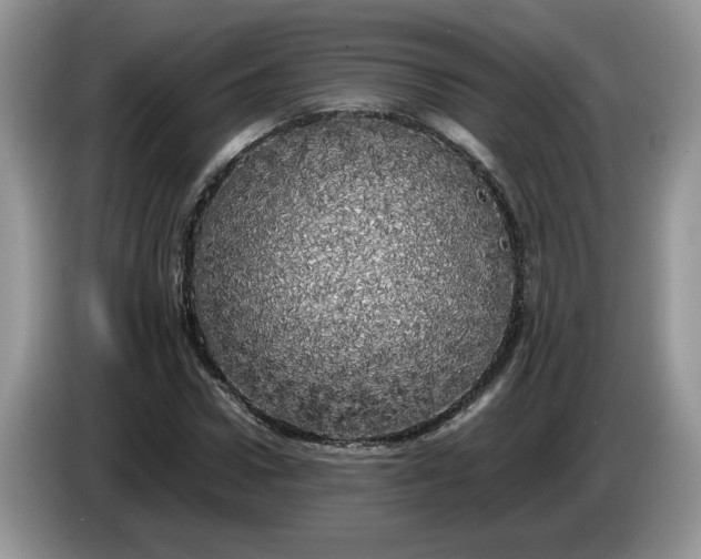 X0000086280922200704122044