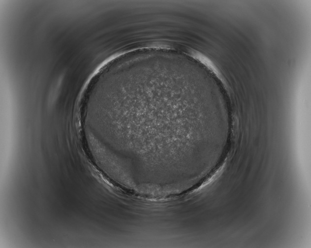 X0000086280923200704122044