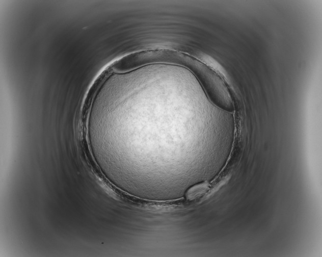 X0000086280924200704122044