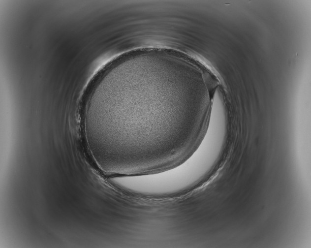 X0000086280926200704122044