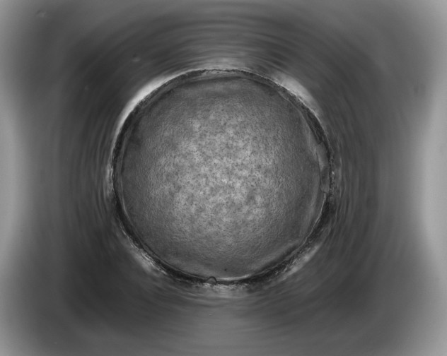 X0000086280928200704122044