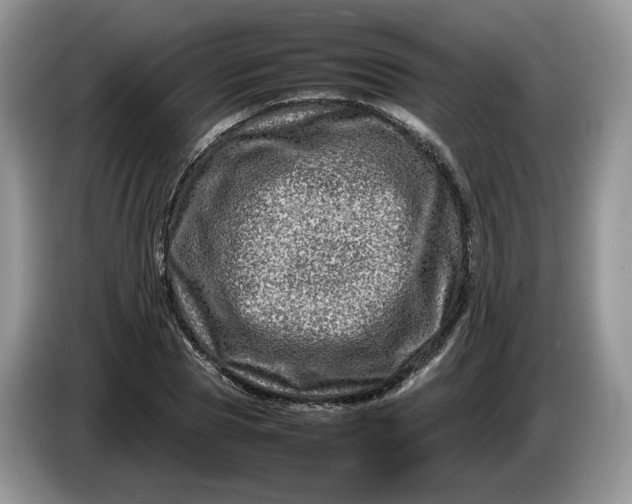 X0000086280929200704122044