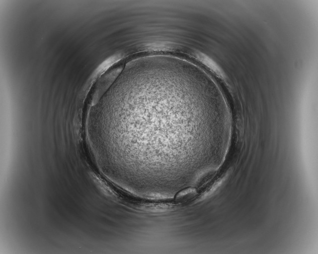 X0000086280930200704122044