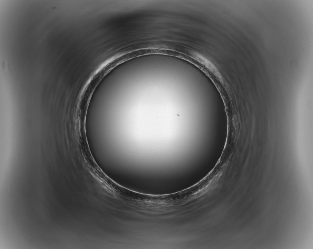 X0000086280931200704122044