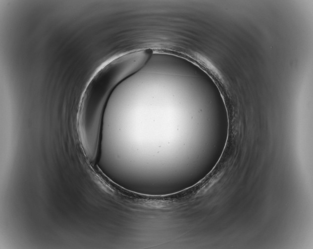 X0000086280932200704122045