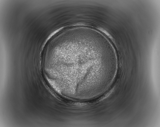 X0000086280933200704122045