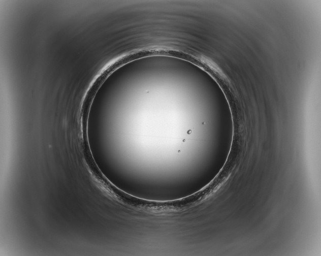 X0000086280934200704122045