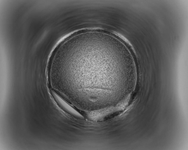 X0000086280935200704122045