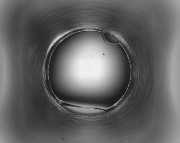 X0000086280936200704122045