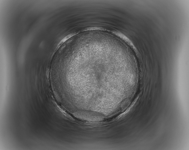 X0000086280937200704122045