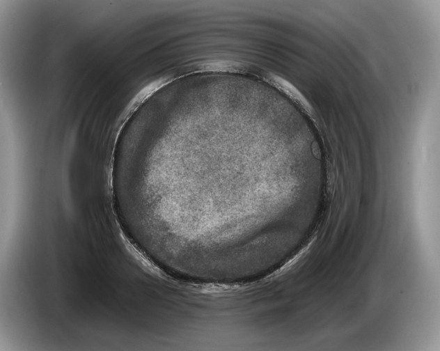 X0000086280938200704122045