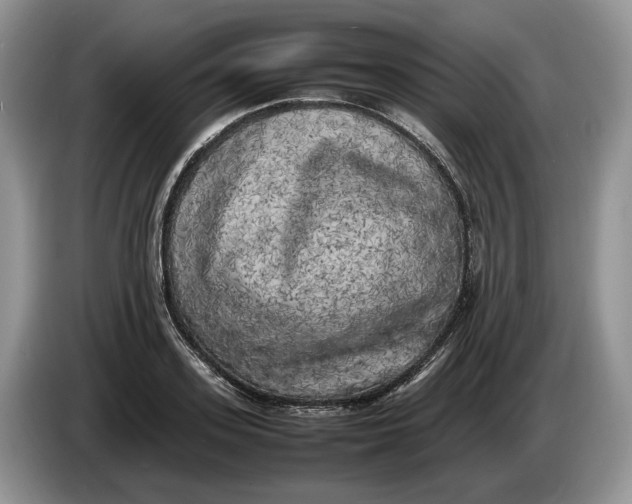 X0000086280939200704122045