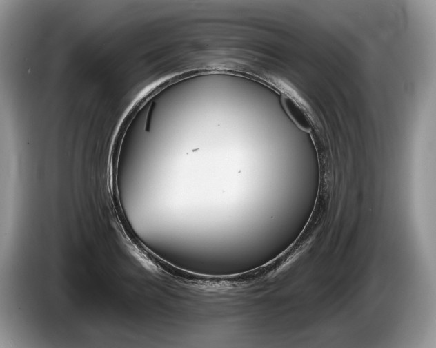 X0000086280940200704122045