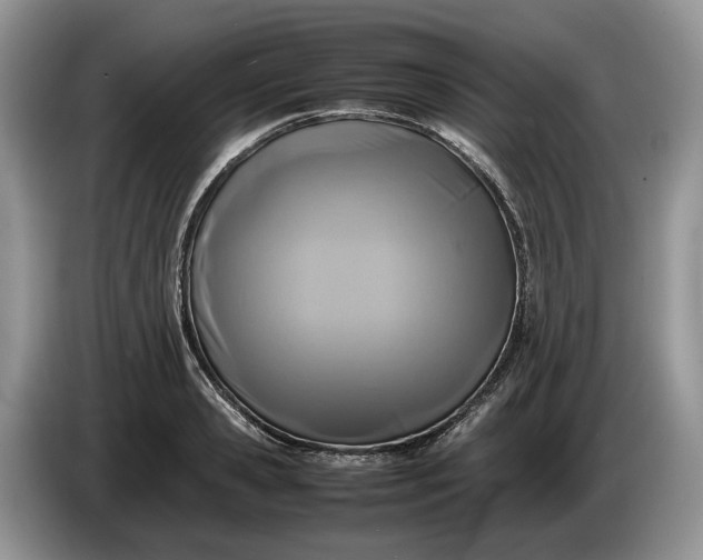 X0000086280941200704122045