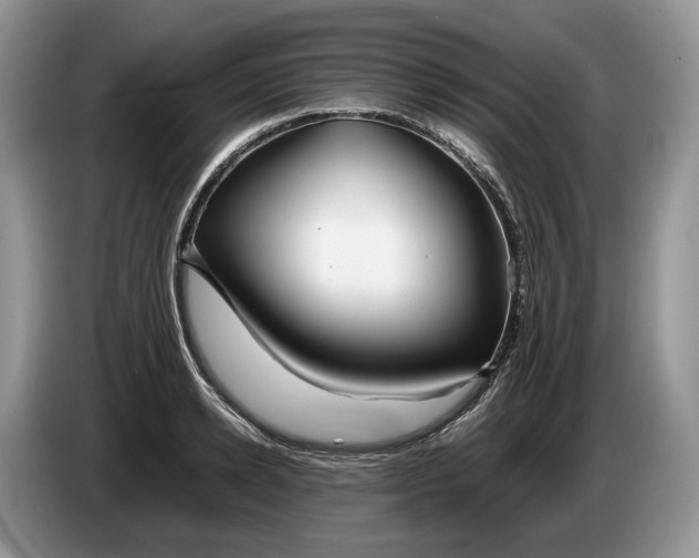 X0000086280942200704122045