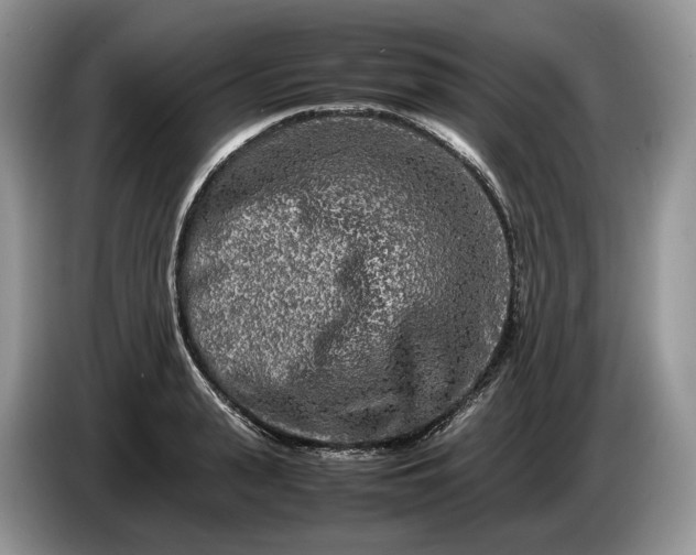 X0000086280943200704122045