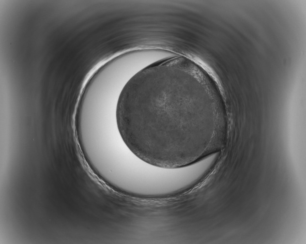 X0000086280944200704122045