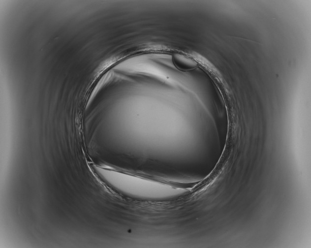 X0000086280945200704122045