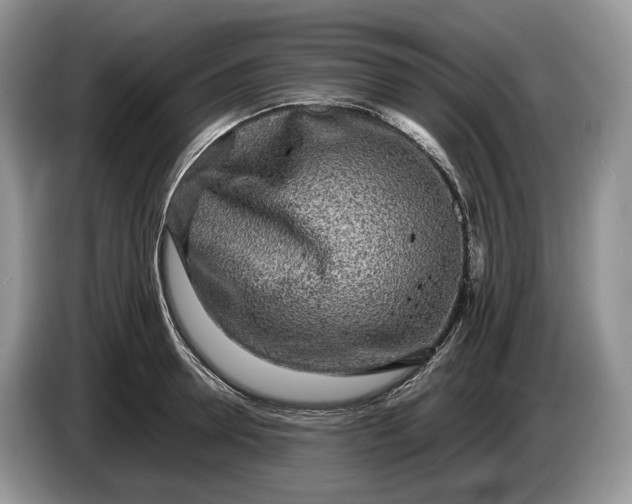 X0000086280946200704122045