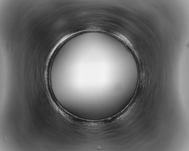 X0000086280947200704122045