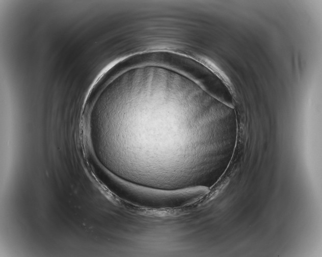 X0000086280948200704122045