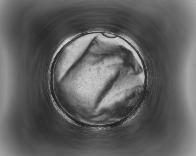 X0000086280949200704122045