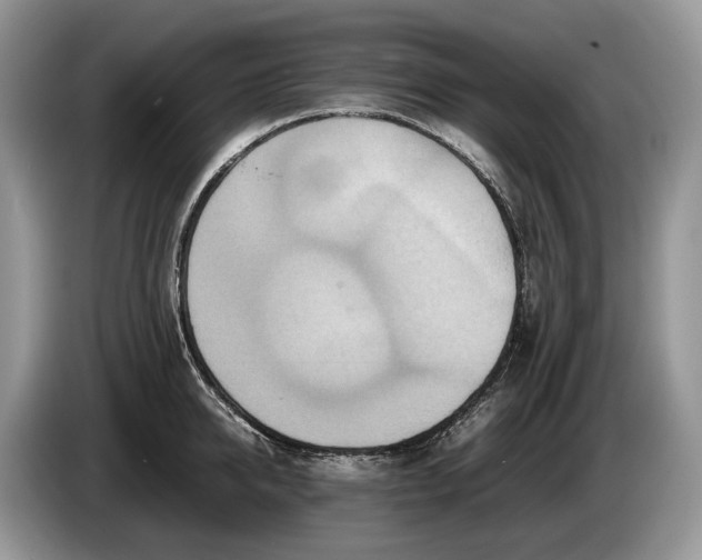 X0000086280950200704122045