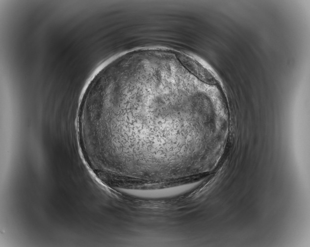 X0000086280951200704122045