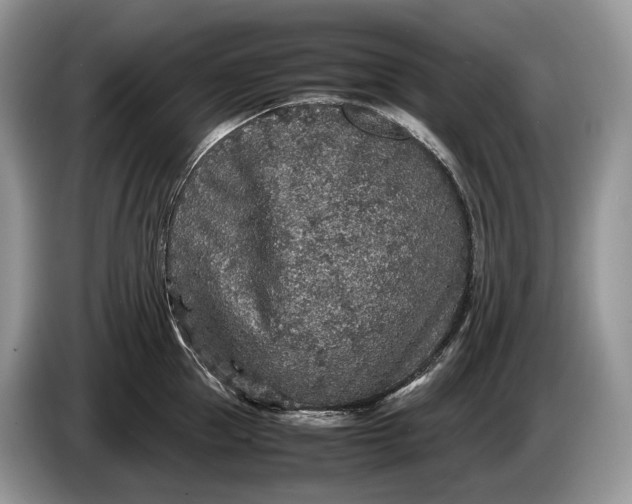 X0000086280953200704122045