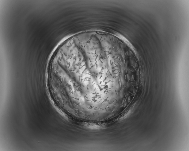 X0000086280955200704122045