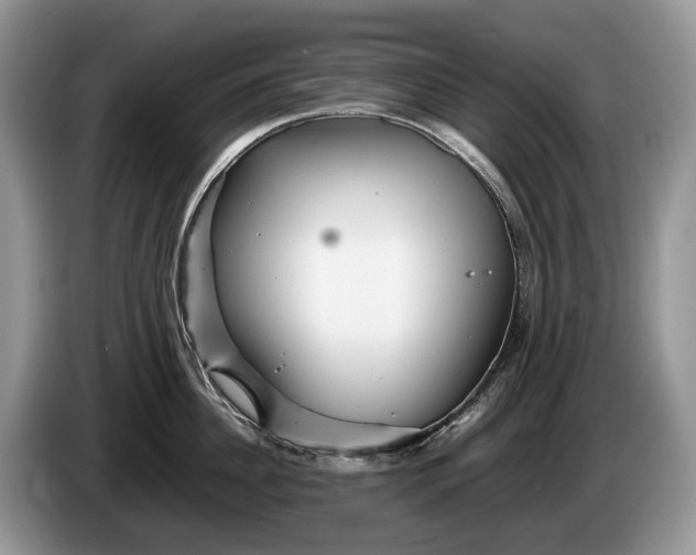 X0000086280956200704122045