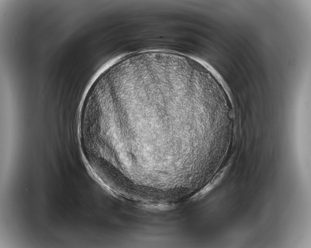 X0000086280957200704122045