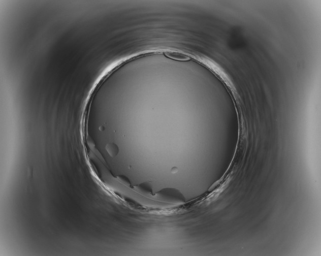 X0000086280958200704122045