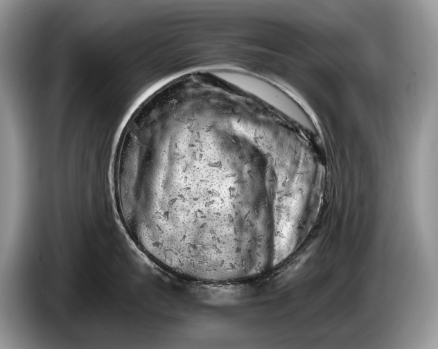 X0000086280959200704122045