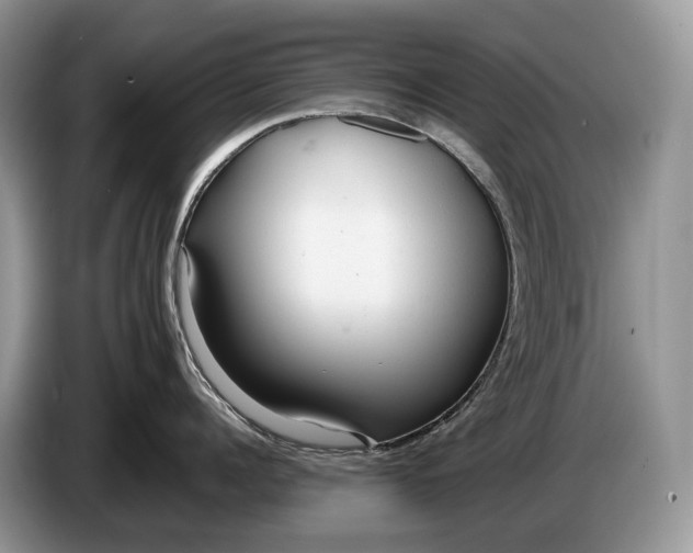 X0000086280960200704122045