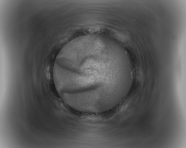 X0000086280962200704122044